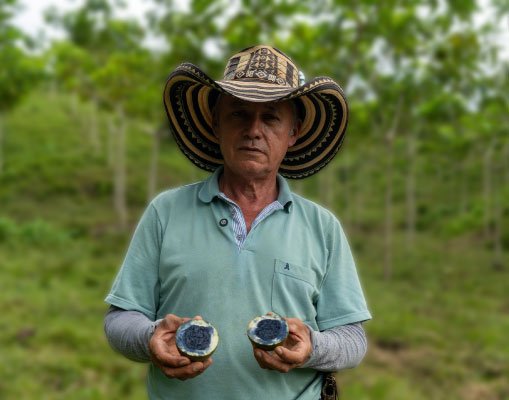 Luis, cultivador de Jagua