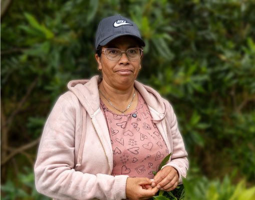 Aura, cultivadora de olivo de cera