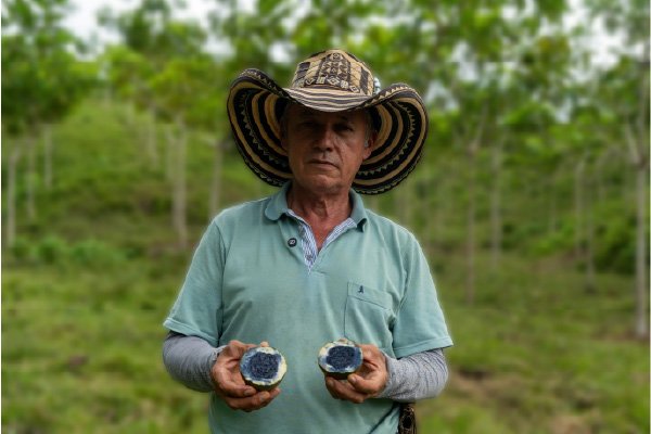 Luis, cultivador de Jagua